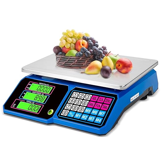 Price Computing Scale：SKEAP DS100 30kg/66 LB Digital Commercial Food Scale,Electronic Meat Scale for Farmers Markets, Retail Outlets, Supermarkets, Blue
