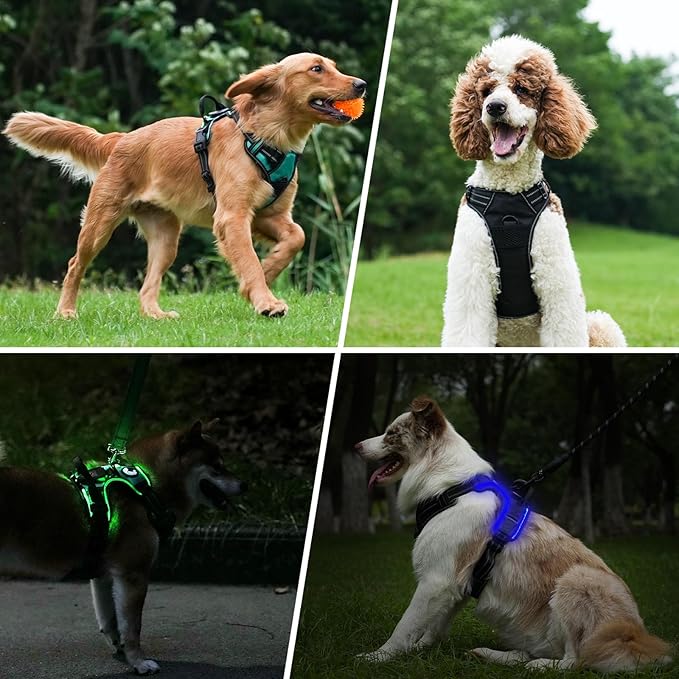 Taglory Light Up Dog Harness, Rechargeable No Pull Dog Vest with 3 Lightning Modes, Reflective Dog Harness with 2 Leash Clips & 4 Adjustable Slide Strips for Small Dogs, Hotpink-Hotpink, S