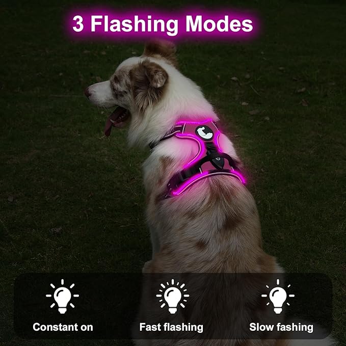 Taglory Light Up Dog Harness, Rechargeable No Pull Dog Vest with 3 Lightning Modes, Reflective Dog Harness with 2 Leash Clips & 4 Adjustable Slide Strips for Large Dogs, Hotpink-Hotpink, XL