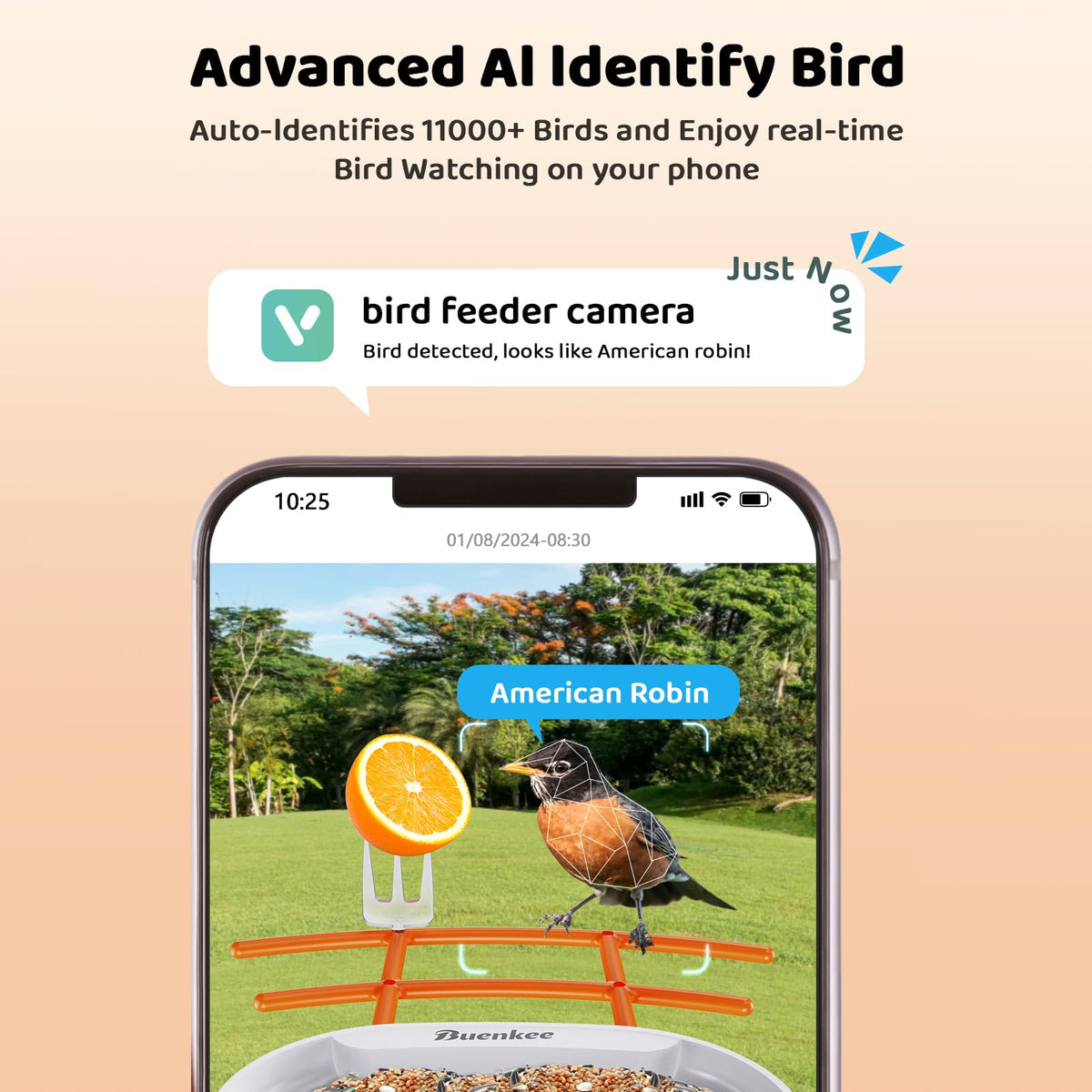 Buenkee Smart Bird Feeder with Camera, 2K HD, AI Bird ID, Solar Powered