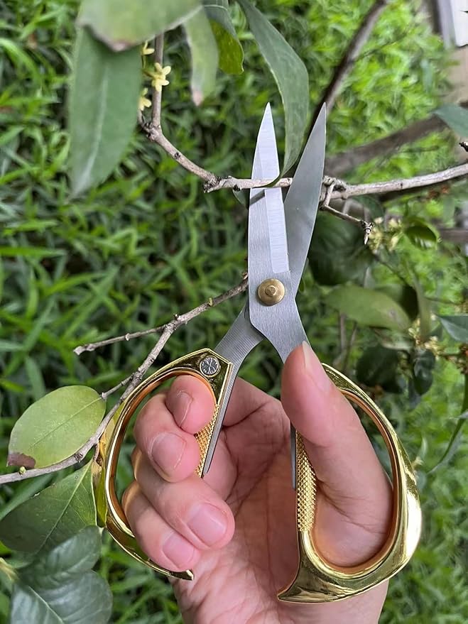 Indoor Plant Shears and Garden Scissors, Houseplant Shears Made of Japan SK5 Stainless Steel, Flowers Herbs and Plant Cutters, Clippers, Trimmers, Loppers, Bonsai Plant Pruning Scissors