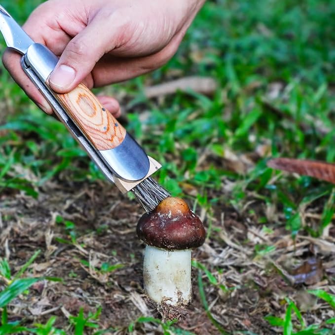 Mushroom Foraging Knife - Folding Knife with Brush and Sheath for Mushroom Lovers