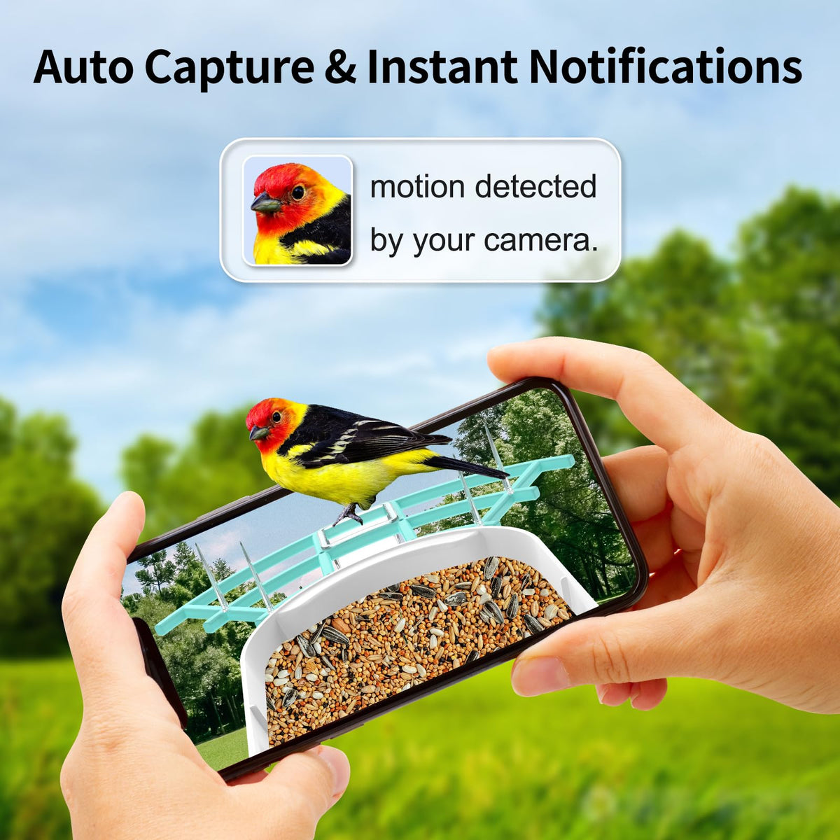 Gyozol Bird Feeder with Camera,WiFi Smart Bird House with Cam Solar Powered