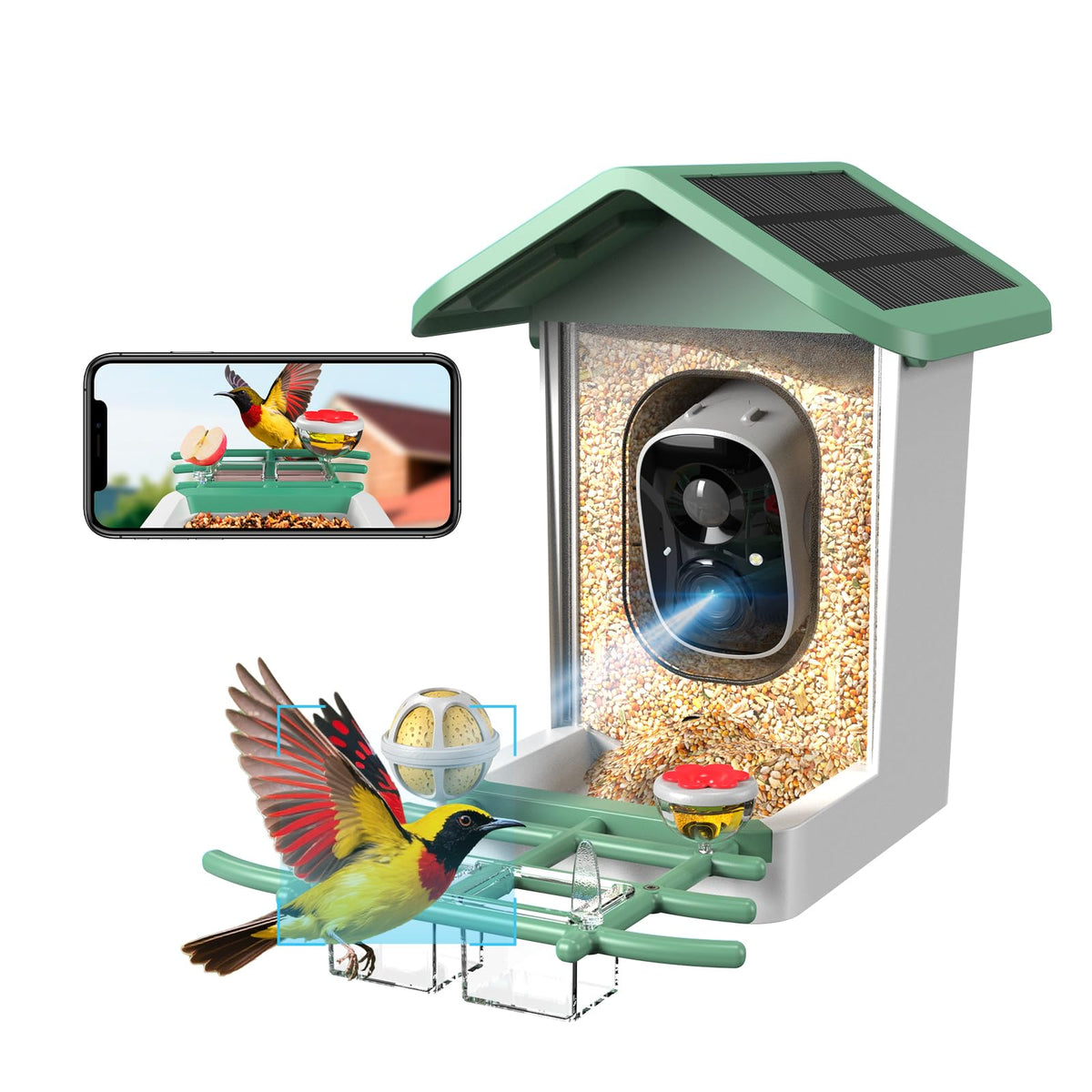 Bird Feeder with Camera, 2K Smart BirdCamera with Solar Powered, AI Identify Birds Species, Instant Arrival Alerts, 2.4Ghz WiFi Bird House for Outdoors, Ideal Gift for Family and Bird Lovers (Green)