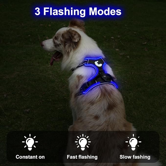 Taglory Light Up Dog Harness, Rechargeable No Pull Dog Vest with 3 Lightning Modes, Reflective Dog Harness with 2 Leash Clips & 4 Adjustable Slide Strips for Large Dogs, Black-Blue, L
