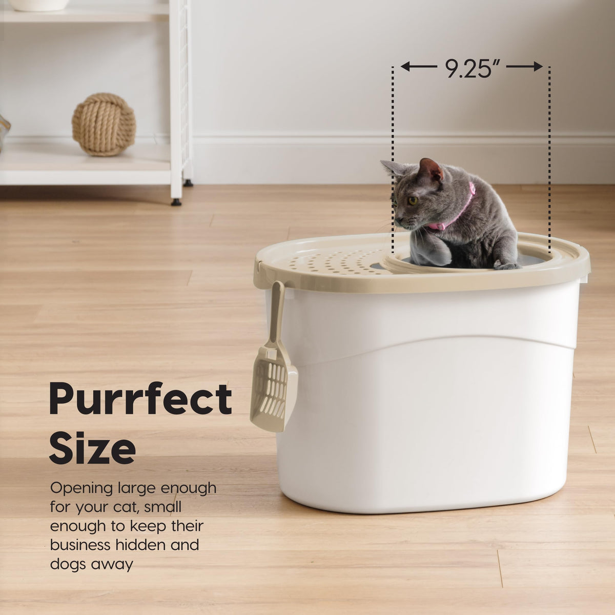 IRIS USA Top Entry Cat Litter Box, Hooded Privacy, Large, Beige