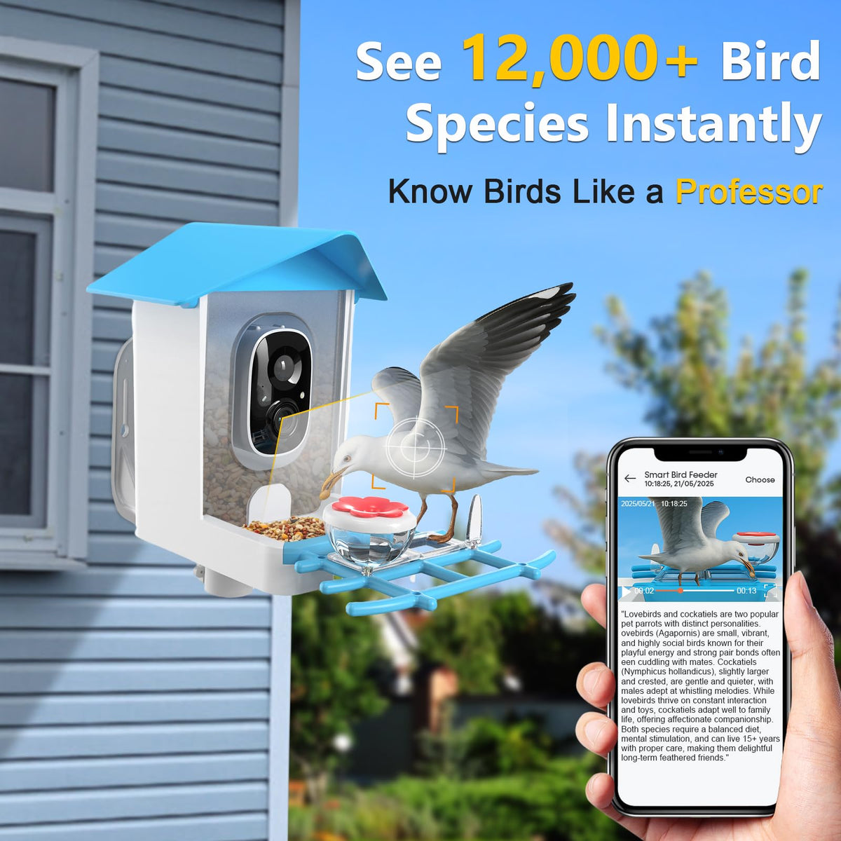 Solar Powered Bird Feeder with Camera: One Full Charge Lasts for Weeks