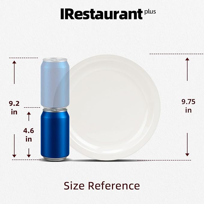 Stoneware Narrow Rim Commercial Grade Dinnerware America White, Plate 9 5/8", Case of 24