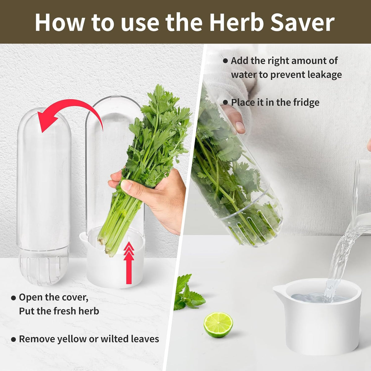 Herb Keeper for Refrigerator, Herb Saver for Refrigerator, Cilantro Container, Vegetable Preservation Bottle for Cilantro, Mint, Parsley, Asparagus, Keeps Greens Fresh for 2-3 Weeks (2PCS)