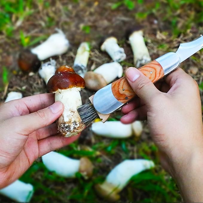 Mushroom Foraging Knife - Folding Knife with Brush and Sheath for Mushroom Lovers