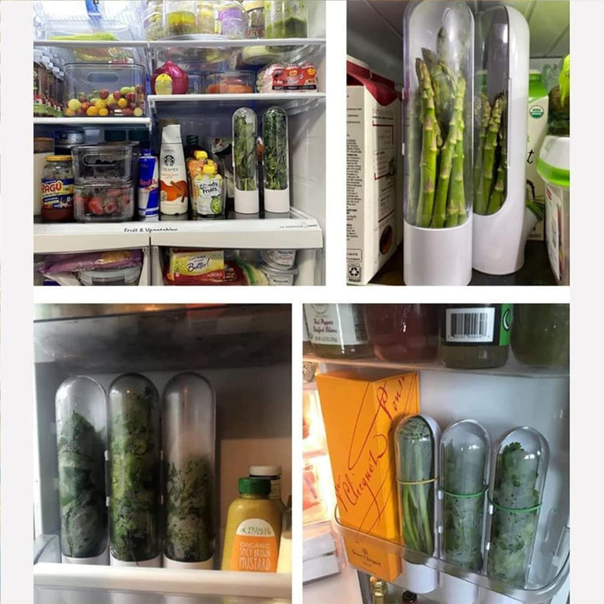Herb Saver for Refrigerator, Fresh Herb Keeper- Herb Saver Pod Containers, Herb Fresh Keeper for Refrigerator,Herb Storage for Cilantro,Parsley, Asparagus,Keeps Vegetables Fresh for 2-3 Week（3pcs）