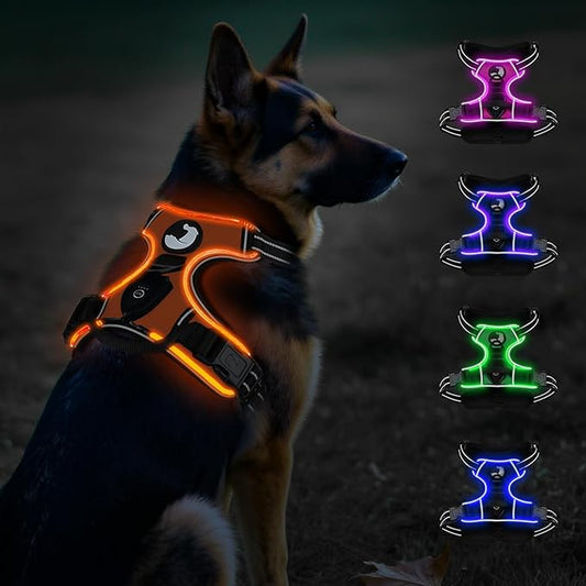 Taglory Light Up Dog Harness, Rechargeable No Pull Dog Vest with 3 Lightning Modes, Reflective Dog Harness with 2 Leash Clips & 4 Adjustable Slide Strips for Large Dogs, Orange-Orange, XL