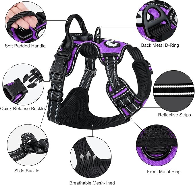 Taglory Light Up Dog Harness, Rechargeable No Pull Dog Vest with 3 Lightning Modes, Reflective Dog Harness with 2 Leash Clips & 4 Adjustable Slide Strips for Large Dogs, Purple-Orange, L