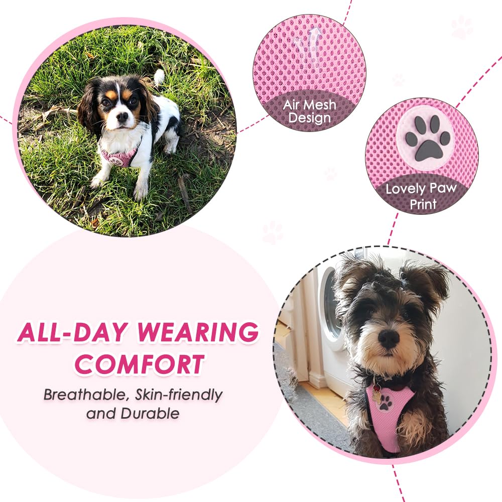 Lukovee Dog Car Harness Seat Belt, Harness & Seatbelt with 2 in 1 Buckle