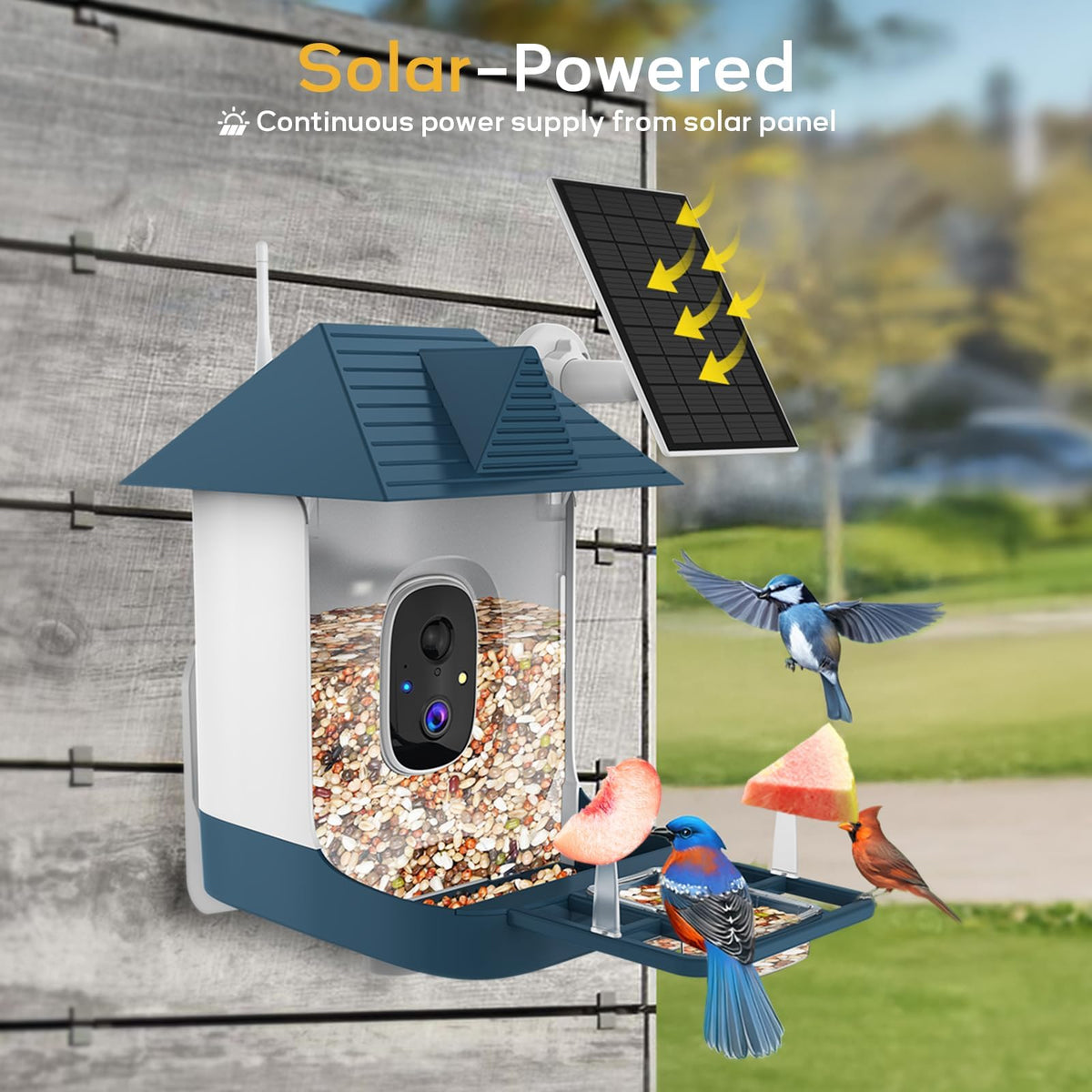 Fazoxo FHD Bird Feeder with Camera,Solar Powered Bird House Camera