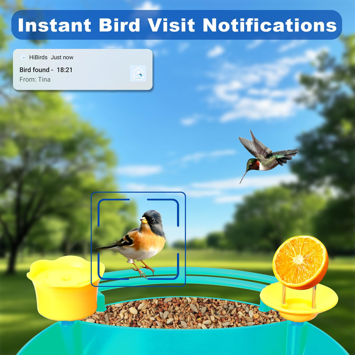 Bird Feeder with Camera - 4K HD Live View, Smart Bird Feeder Solar Powered, AI Recognition Auto Capture Video, 3-in-1 Feeding & Bathing & Hummingbird, Outdoor Garden Bird House (Blue)