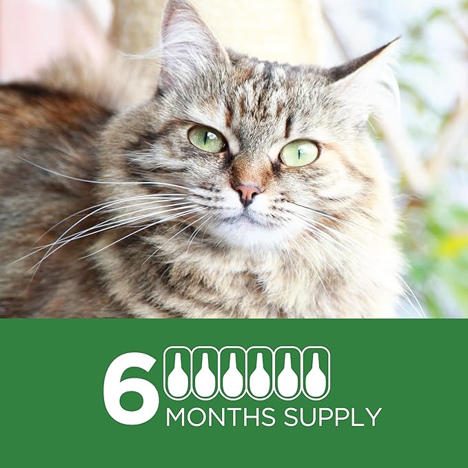 TevraPet Actispot II Flea Treatment for Large Cats 9+ lbs | 6 Doses | Powerful Prevention and Control