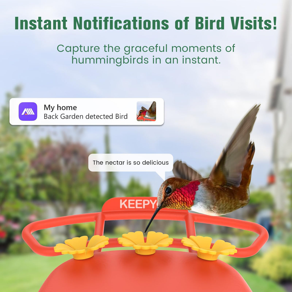 KEEPYOO 2.5K Hummingbird Feeder with Camera, Wireless Smart Bird Feeders for Outdoors, AI Bird Identify, Instant Notification, Include 32GB SD Card, Ant Moat & Bee-Proof, Gift for Birds Lovers (Red)