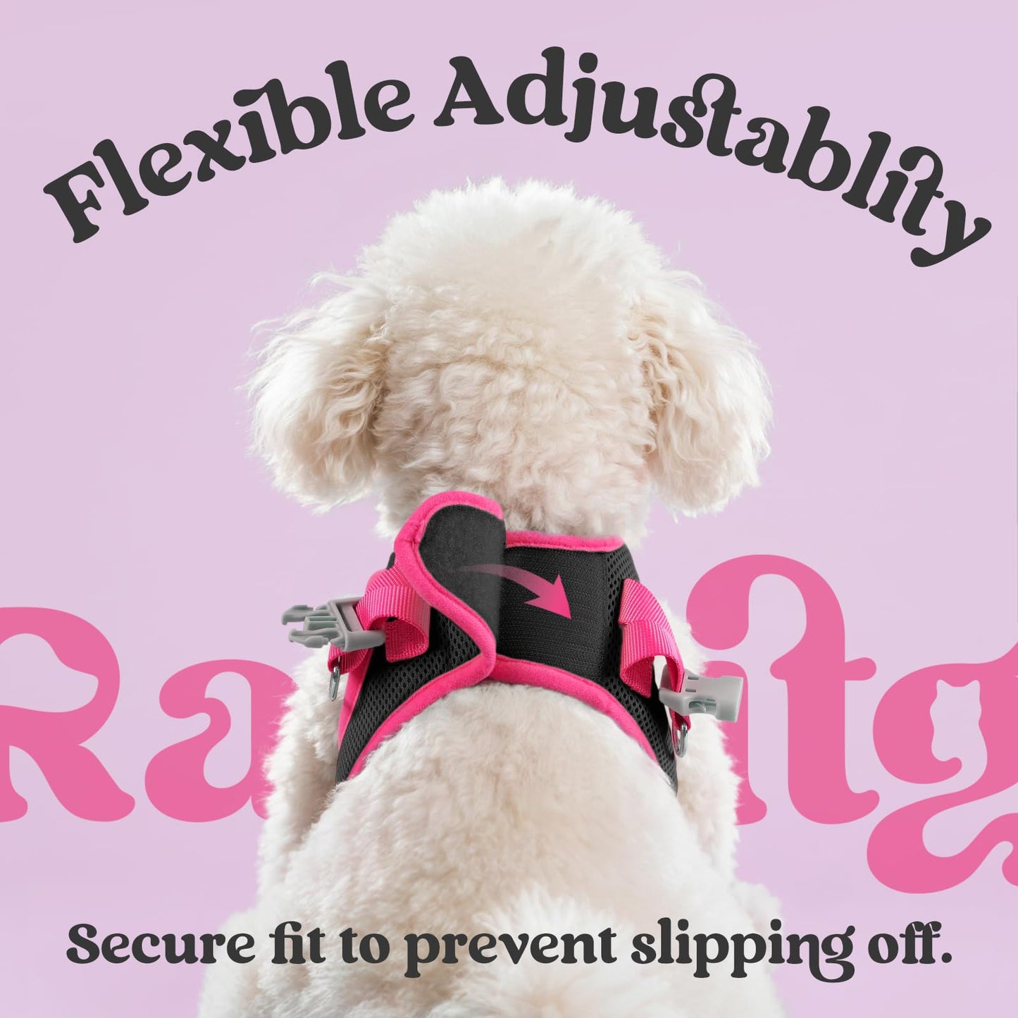 rabbitgoo Dog Harness Small Sized and Leash Set, Step in Soft Vest