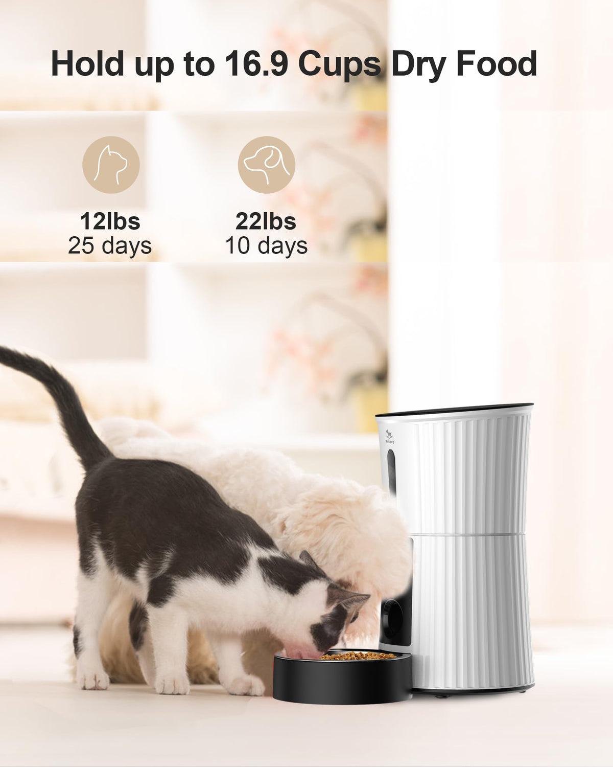 Petory WiFi Automatic Cat Feeder - 4L Dry Food Dispenser for Cats and Dogs
