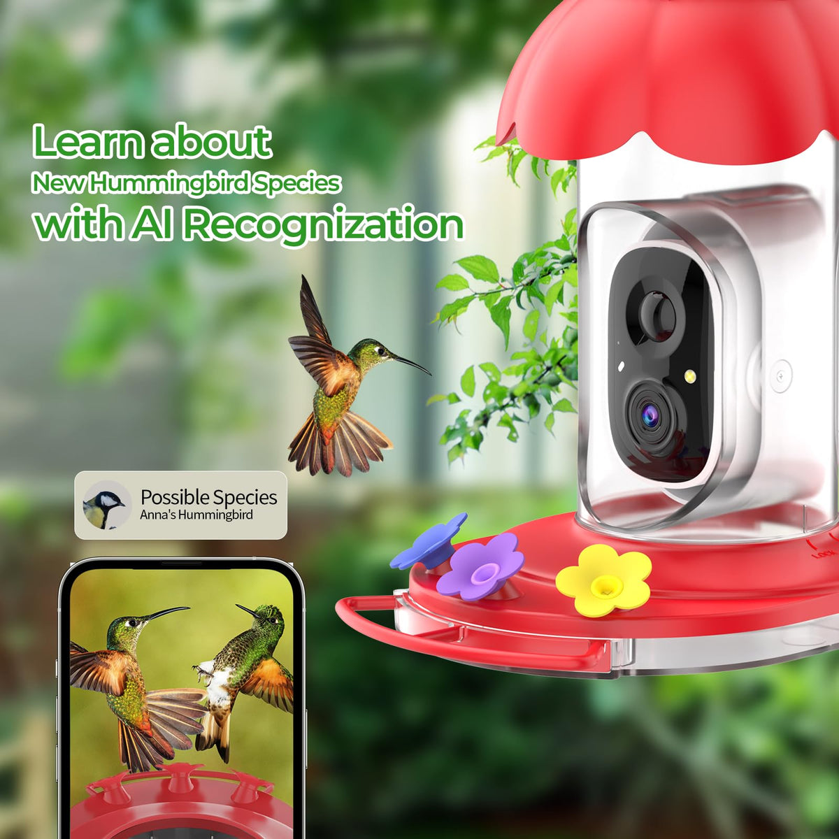 Smart Hummingbird Feeder with Camera Solar Powered, 2K Live View Humming Bird Watching Camera, AI Identify, Instant Notifications, Ant and Bee Proof, 3 Color Feeding Ports,Hanging on Porch Patio