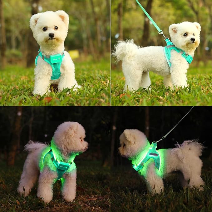 Light Up Dog Harness,Rechargeable LED Dog Harness for Small Medium Large Dogs,Reflective Lighted Safety Vest for Night Walking & Camping,Lightweight & Adjustable,Light Green,S