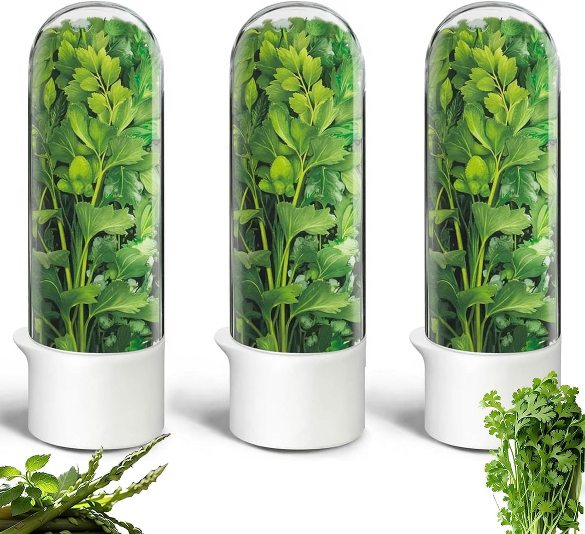 Herb Saver for Refrigerator, Herb Saver Pod Cilantro Containers for Refrigerator, Fresh Herb Keeper for Cilantro, Parsley, Asparagus, Mint, Keeps Greens Vegetables for 2-3 Weeks (Herb Keeper 3Pack)
