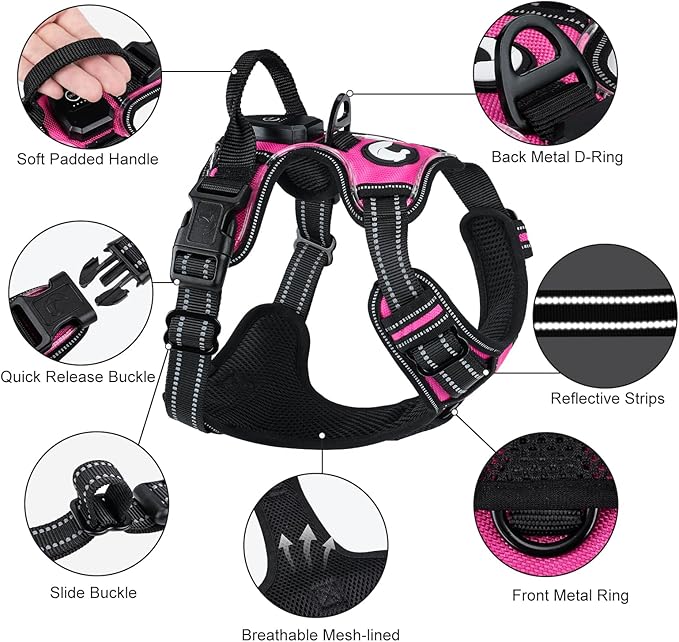 Taglory Light Up Dog Harness, Rechargeable No Pull Dog Vest with 3 Lightning Modes, Reflective Dog Harness with 2 Leash Clips & 4 Adjustable Slide Strips for Small Dogs, Hotpink-Hotpink, S