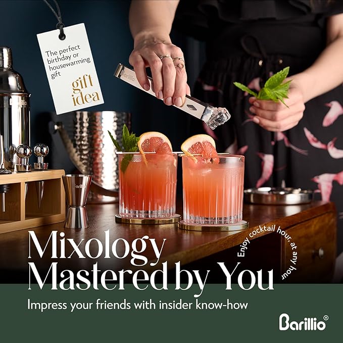 Barillio Bartender Kit - Stainless-Steel Cocktail Shaker Set w/Bamboo Stand - Mixology Bar Tools w/Drink Shaker, Mixer Spoon & Muddler for Cocktails - Home Bar Accessories - 23-Pc Bar Set - Silver
