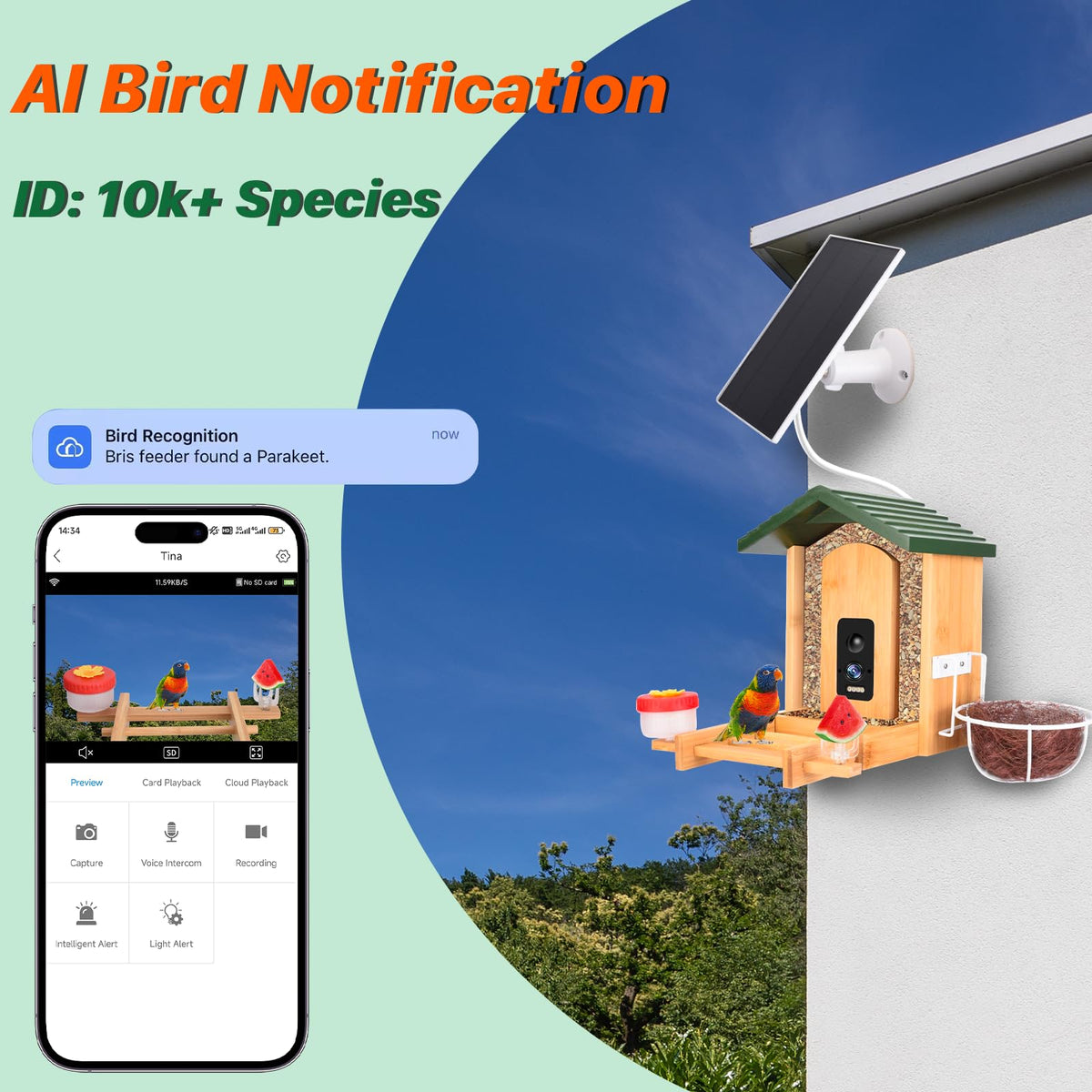 Smart Bird Feeder with Camera Solar Powered, 4K UHD Video Live Stream 8MP Photos, AI Bird Species Identification, Instant Arrival Alerts, Weatherproof Bamboo Design, Best Gift for Bird Lovers
