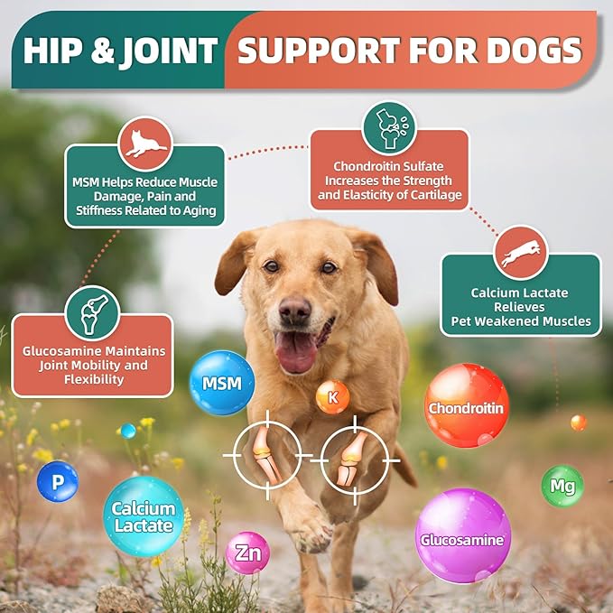 Dog Multivitamin with Glucosamine, Omega 3, Minerals, Probiotics and Enzymes, Dog Vitamins and Supplements for Joint, Skin & Coat Care, Digestive and Immune Health, Chicken Flavor - 120 Chews