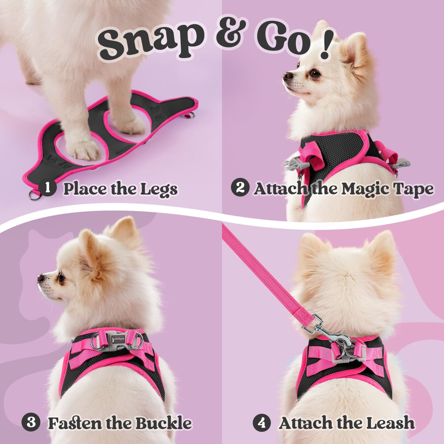 rabbitgoo Dog Harness Small Sized and Leash Set, Step in Soft Vest