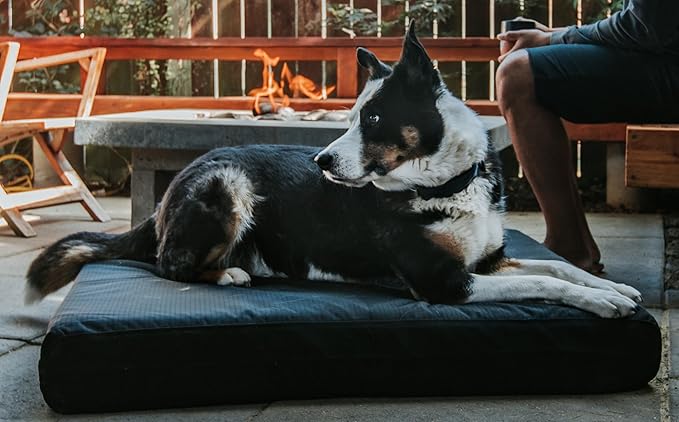 K9 Ballistics Tough Ripstop Orthopedic Rectangle Dog Bed Removable Washable Cover, Solid Orthopedic Foam for Size XXL Giant Big Dogs 68"x40", Blue Quartz