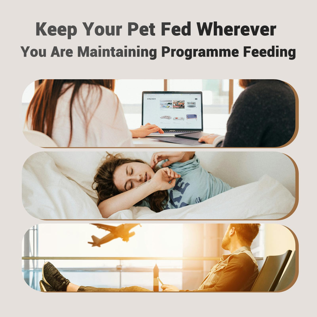 PETULTRA Automatic Cat Feeder: 4L Timed Cats Food Dispenser Programmable