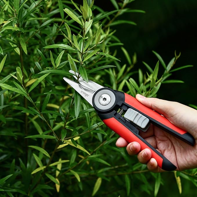 LIVINGO Precision Garden Pruning Shears - Straight Blade Floral Scissors with Non-Slip Handle for Trimming, 8.5" Gardening Clippers for Flowers, Herbs, Bonsai & Indoor Plants