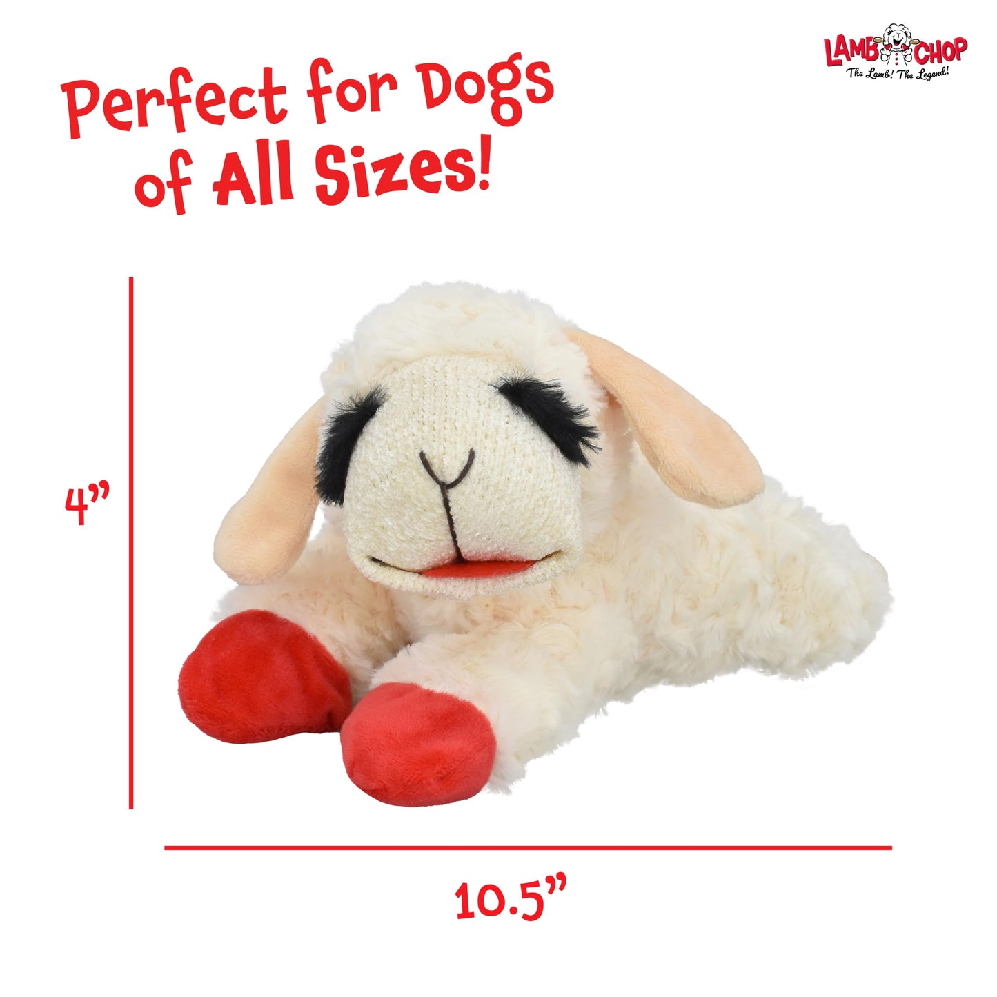 Multipet Lamb Chop Dog Plush Toy - Squeaky Toy for Small & Medium Dogs - Extra Soft Plush - Stuffed Animal for Cuddling & Playing (10", Cream, 5 Squeakers)