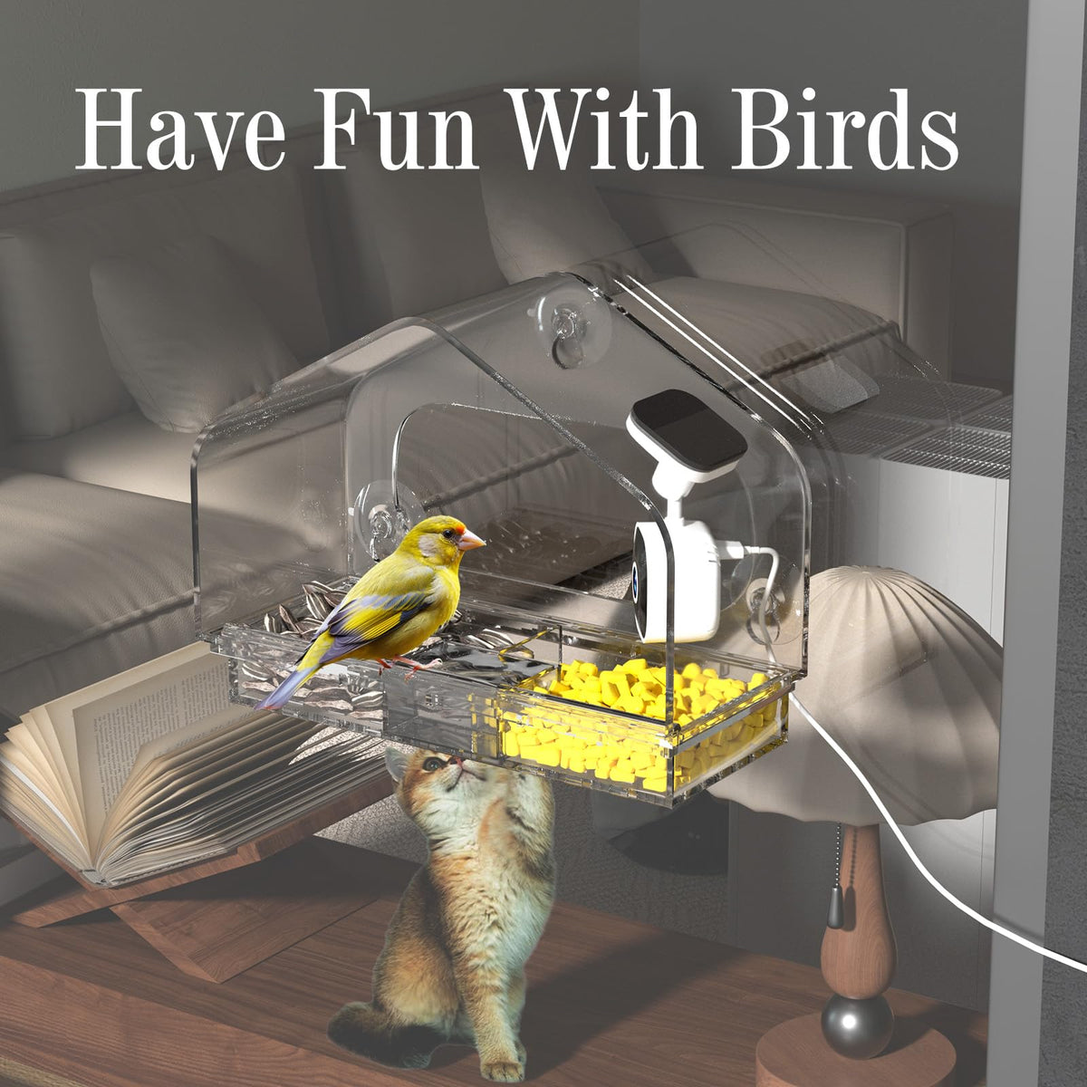 Window Bird Feeder with Strong Suction Cups and Smart Bird Camera