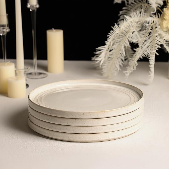 Stone Lain Claire 4-Piece Dinner Plate Set Stoneware, Plates, Dishwasher and Microwave Safe, Dish Set for 4, White