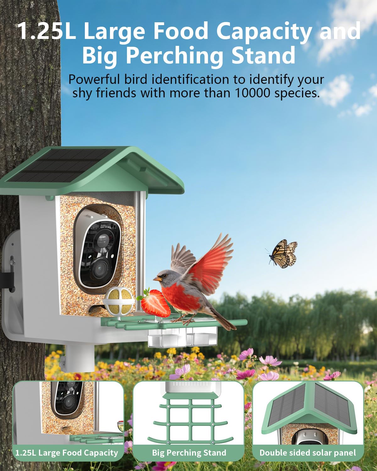 Bird Feeder with Camera, 2K Smart BirdCamera with Solar Powered, AI Identify Birds Species, Instant Arrival Alerts, 2.4Ghz WiFi Bird House for Outdoors, Ideal Gift for Family and Bird Lovers (Green)