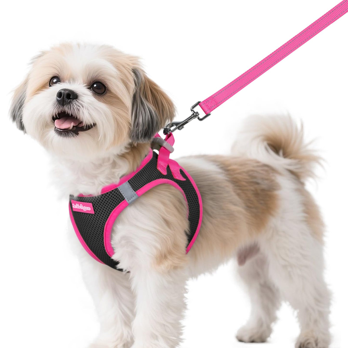 rabbitgoo Dog Harness Small Sized and Leash Set, Step in Soft Vest