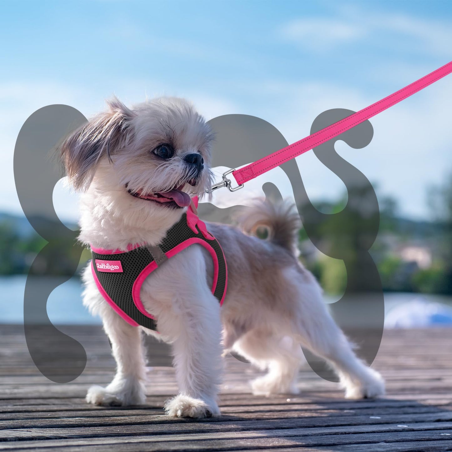 rabbitgoo Dog Harness Small Sized and Leash Set, Step in Soft Vest
