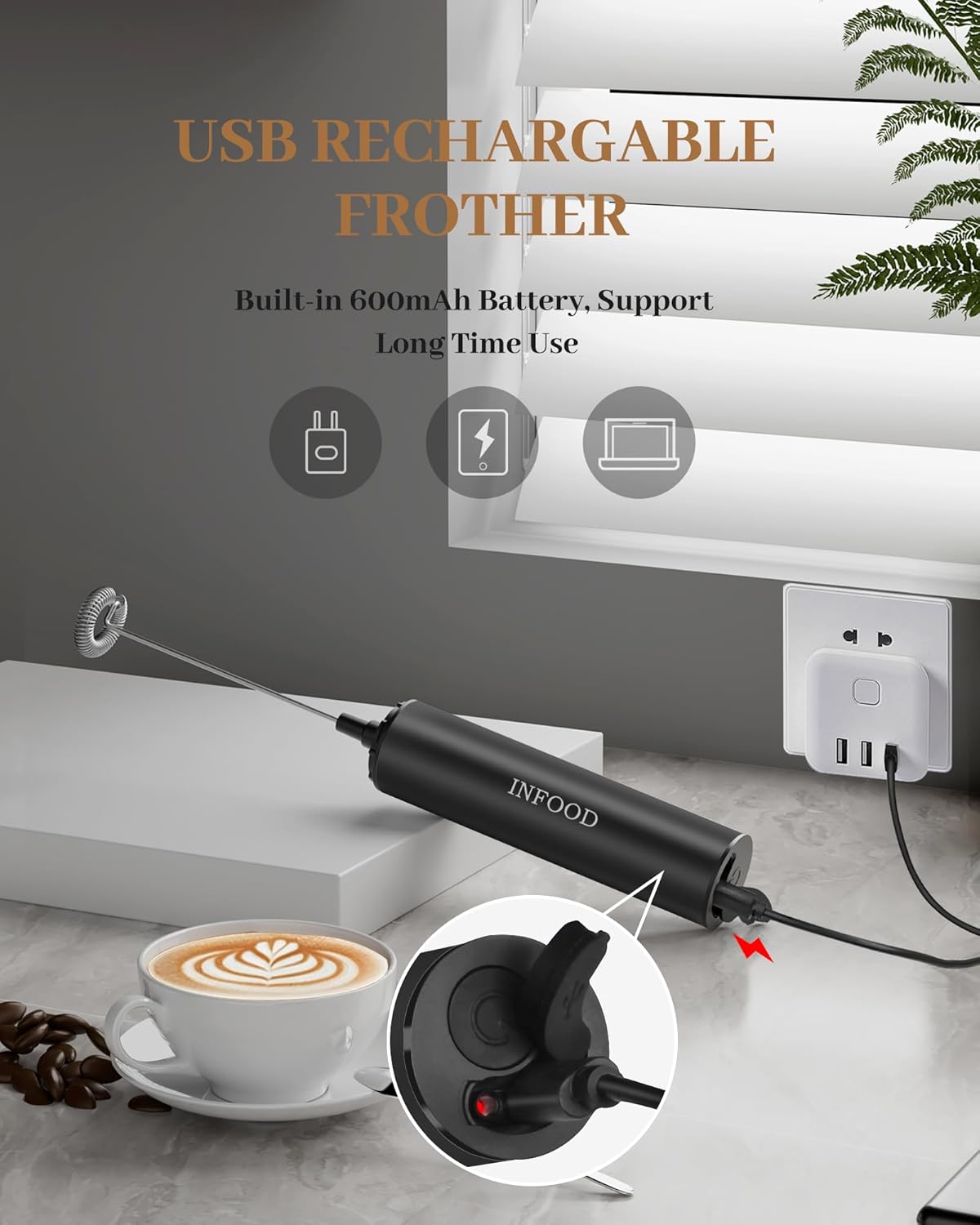 Milk Frother Rechargeable with Cover - Coffee Frother Wand, Drink Mixer Handheld with 2 Detachable Stainless Whisks 2 Speed Adjustable for Latte, Cappuccino, Hot Chocolate, Egg, Black