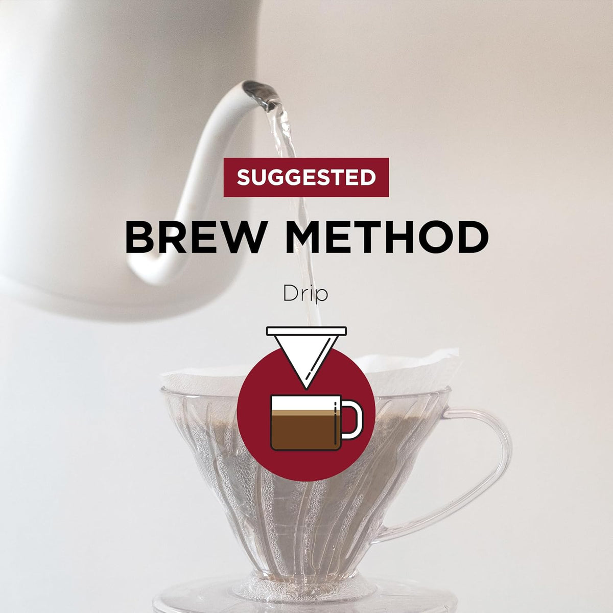 Fonte Coffee Roaster - French Press Coffee - Medium-Dark Fresh Roast - Roasted in Seattle - Single Origin - Bright, Chocolately, Balanced - 12 oz - Fonte AA