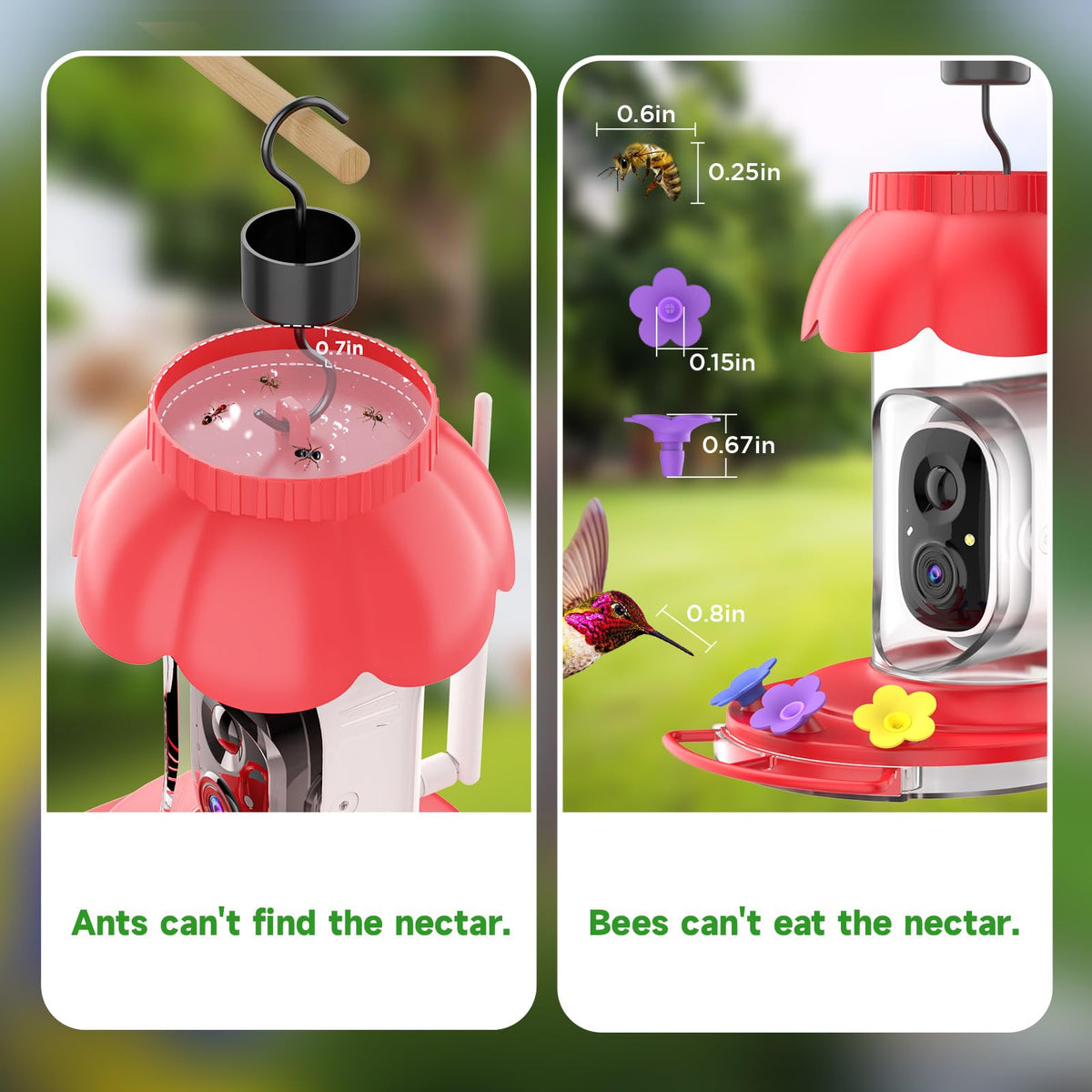 Smart Hummingbird Feeder with Camera Solar Powered, 2K Live View Humming Bird Watching Camera, AI Identify, Instant Notifications, Ant and Bee Proof, 3 Color Feeding Ports,Hanging on Porch Patio