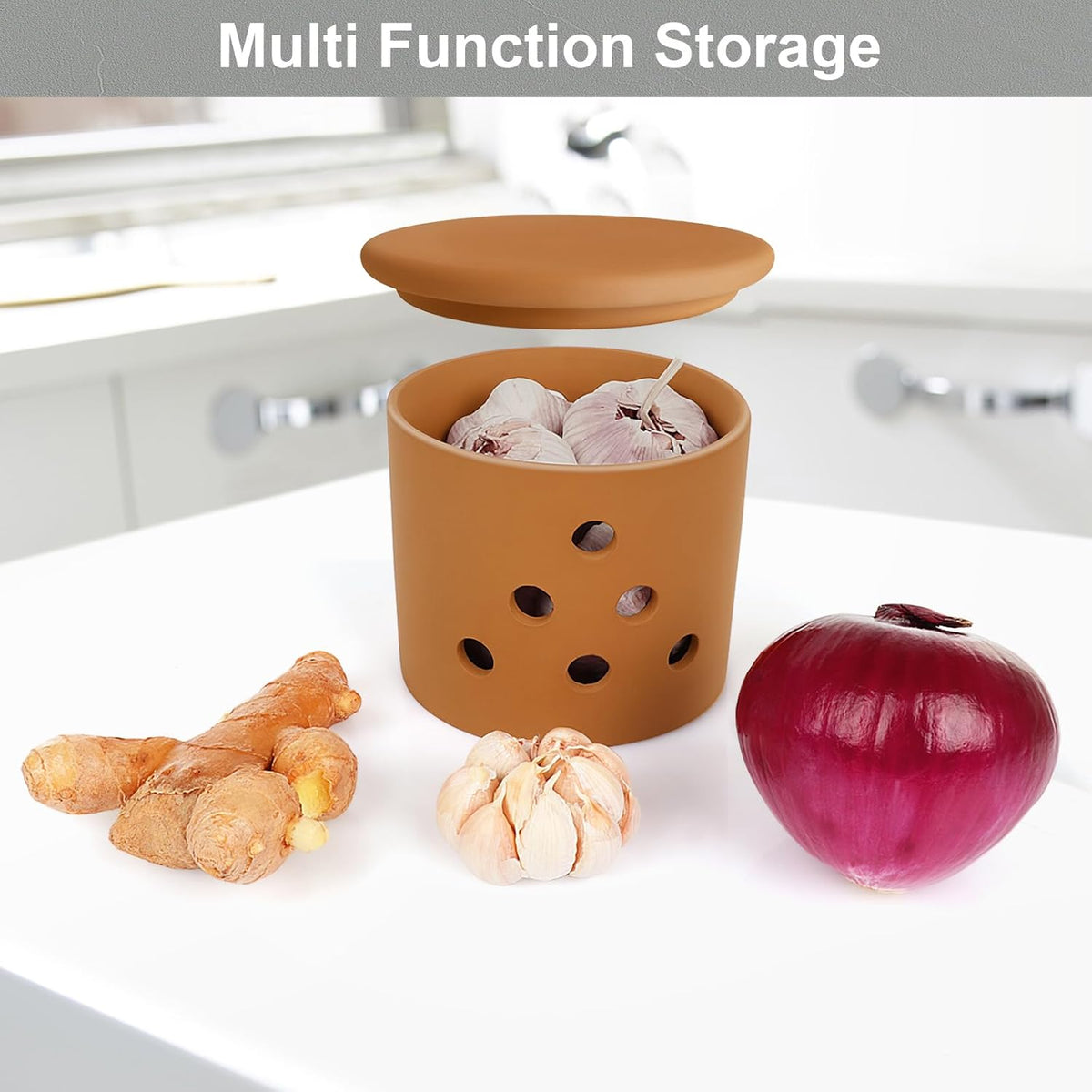 LEEPENK Terracotta Garlic Keeper,Vented Clay Garlic Storage Container Saver with Lid and 12 Air Vent,Reserve for Garlic, Onion, Lemon, Patato or Ginger