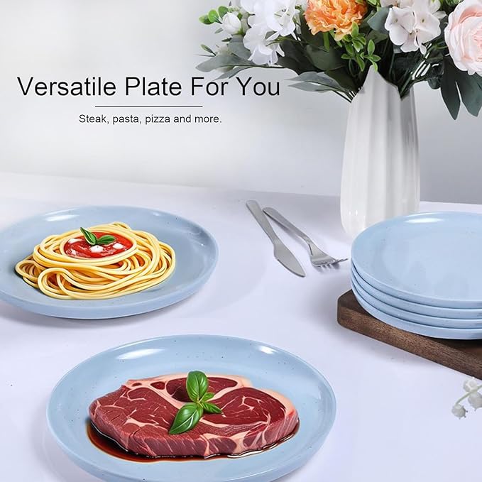 Webbylee 10.25" Melamine Dinner Plates Set of 6 - Durable Serving Dishes Perfect for Kitchen Outdoor Use, Dishwasher Safe,Scratch Resistant-Blue & Beige