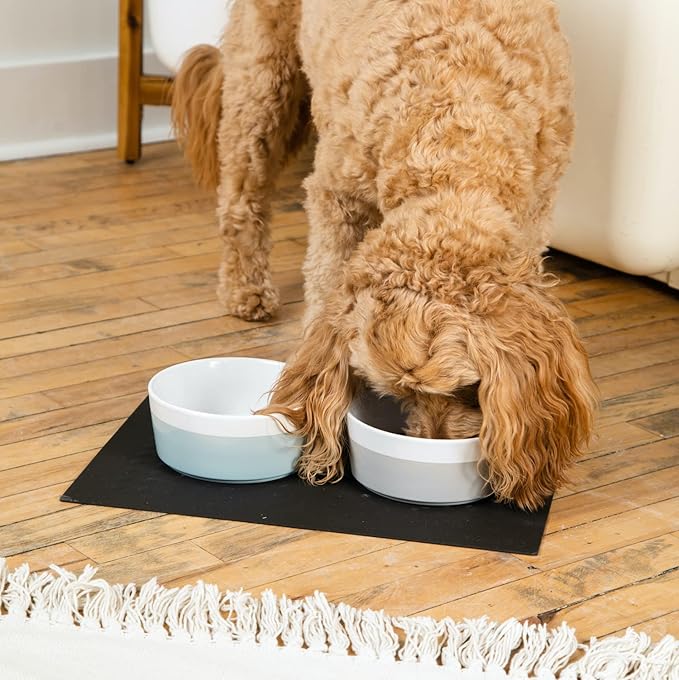 Waggo Dipper Ceramic Dog Bowl for Small and Large Breeds - Heavyweight and Durable Pet Food and Water Dish Crock, Dishwasher Safe, Modern (Cloud, Large)