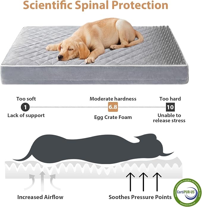 WNPETHOME Orthopedic Dog Bed Medium Size Dog, Waterproof Medium Dogs Bed with Removable Washable Cover, Multi-Needle Quilting Dogs Crate Bed