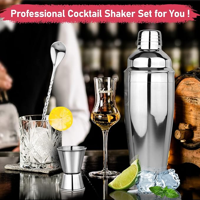 24oz Cocktail Shaker Set Martini Shaker Set Bartender Set with Margarita Mixer Drink Shaker, Measuring Jigger and Mixing Spoon - Professional 18/8 Stainless Steel Bar Tools for Mixed Drinks
