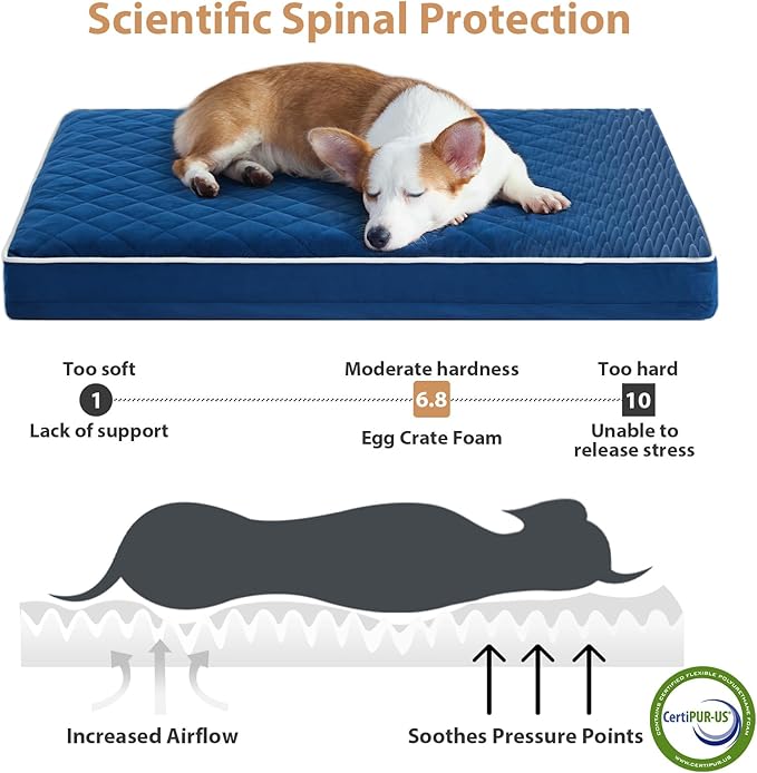 WNPETHOME Orthopedic XL Dog Beds Large Sized Dog, Waterproof Extra Large Dogs Bed with Removable Washable Cover, Multi-Needle Quilting Dogs Crate Bed